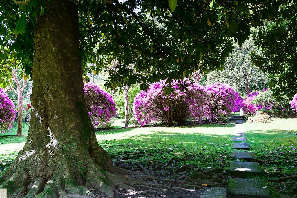 Hotel Villa e Palazzo Aminta Stresa Esterno foto